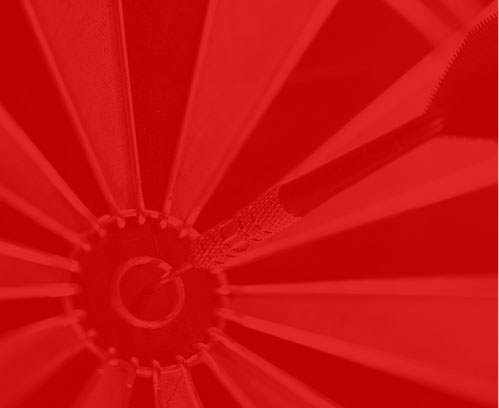 我们的目标