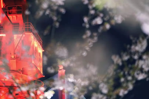 CRC喜欢和什么样的CRA合作？(图1)