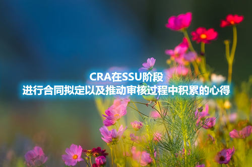 CRA在SSU阶段进行合同拟定以及推动审核过程中积累的心得(图1)