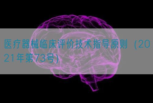 医疗器械临床评价技术指导原则（2021年第73号）