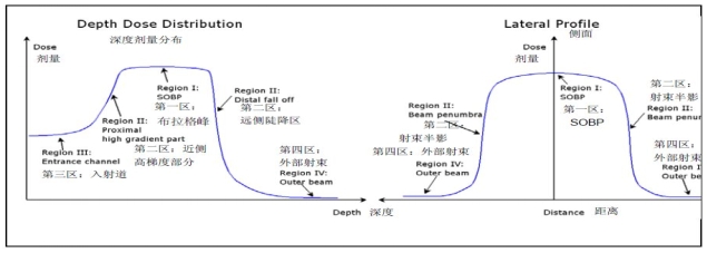 质子/碳离子治疗系统技术审查指导原则(2015年第112号)(图6) 质子/碳离子治疗系统技术审查指导原则(2015年第112号)(图6)