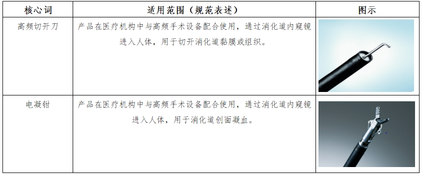 软性内窥镜用高频手术器械注册审查指导原则（征求意见稿）(图2)