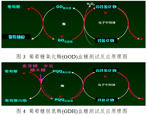 血糖仪注册技术审查指导原则（2016年修订版）（2016年第22号）(图3)