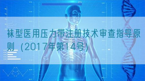袜型医用压力带注册技术审查指导原则（2017年第14号）(图1)