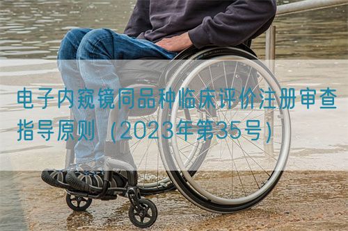 电子内窥镜同品种临床评价注册审查指导原则（2023年第35号）(图1)