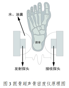 超声骨密度仪注册技术审查指导原则（2017年第180号）(图3)