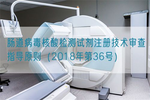 肠道病毒核酸检测试剂注册技术审查指导原则（2018年第36号）(图1)