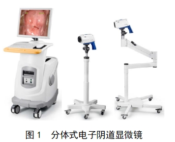 电子阴道显微镜注册技术审查指导原则（2018年第15号）(图1)