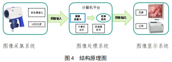 电子阴道显微镜注册技术审查指导原则（2018年第15号）(图3)