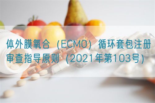 体外膜氧合（ECMO）循环套包注册审查指导原则（2021年第103号）(图1)