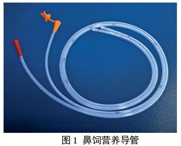 鼻饲营养导管注册技术审查指导原则（2018年修订）（2018年第80号）(图1)