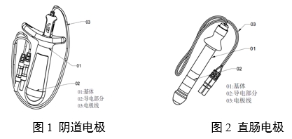 神经和肌肉刺激器用体内电极注册审查指导原则（2024年第19号）(图1)