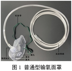 一次性使用输氧面罩产品注册审查指导原则（2024年第19号）(图1)