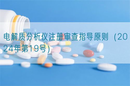 电解质分析仪注册审查指导原则（2024年第19号）(图1)