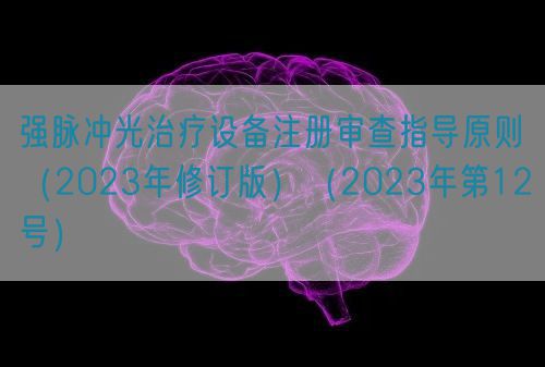 强脉冲光治疗设备注册审查指导原则（2023年修订版）（2023年第12号）