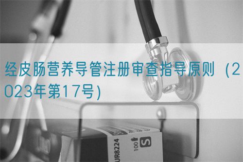 经皮肠营养导管注册审查指导原则（2023年第17号）(图1)