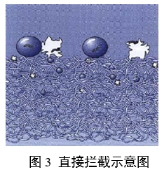 呼吸系统过滤器注册审查指导原则（2023年第22号）(图2)