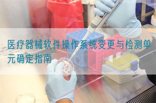 医疗器械软件操作系统变更与检测单元确定指南(图1)