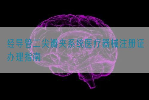 经导管二尖瓣夹系统医疗器械注册证办理指南(图1)
