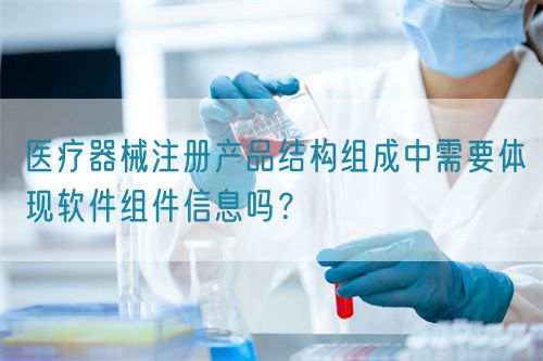 医疗器械注册产品结构组成中需要体现软件组件信息吗？(图1)