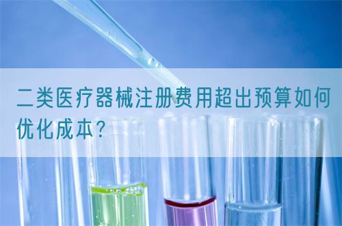 二类医疗器械注册费用超出预算如何优化成本？(图1)