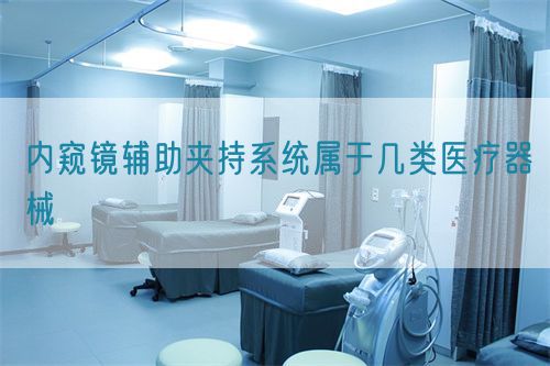 内窥镜辅助夹持系统属于几类医疗器械(图1)