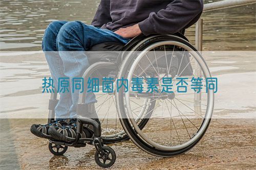 热原同细菌内毒素是否等同(图1)