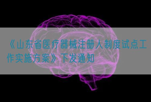 《山东省医疗器械注册人制度试点工作实施方案》下发通知(图1)