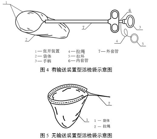 一次性使用内窥镜用活检袋注册审查指导原则(2025年第20号)(图4) 一次性使用内窥镜用活检袋注册审查指导原则(2025年第20号)(图4)