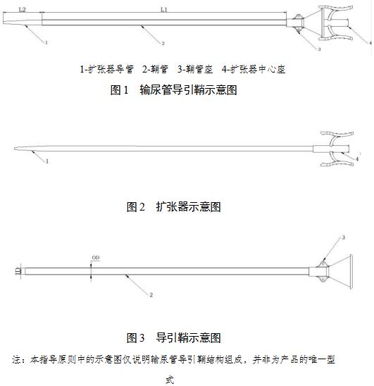 一次性使用输尿管导引鞘注册审查指导原则（2021年第102号）(图2)