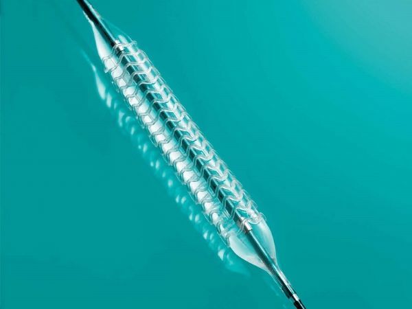 生物可吸收冠状动脉药物洗脱支架动物实验研究指导原则（2020年第48号）(图1)