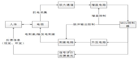 肌电生物反馈治疗仪注册技术审查指导原则（2019年第79号）(图3)