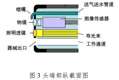 电子上消化道内窥镜注册技术审查指导原则（2020年第87号）(图3)
