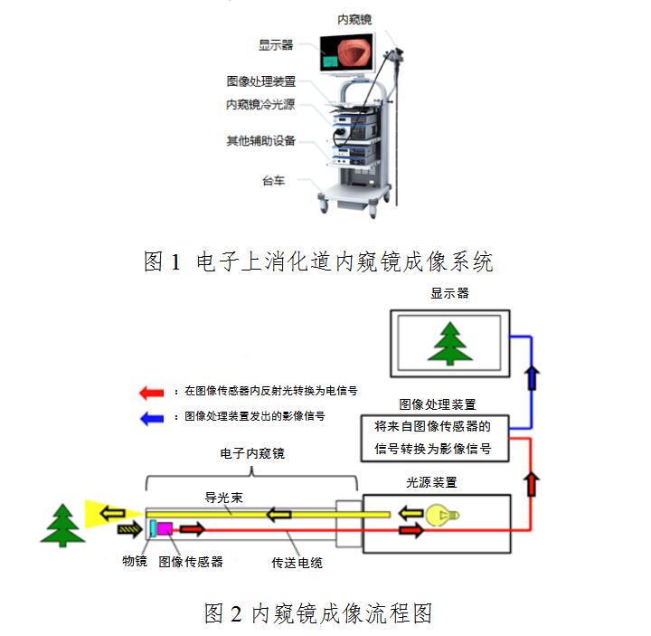 电子上消化道内窥镜注册技术审查指导原则（2020年第87号）(图2)