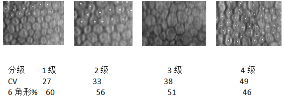 接触镜护理产品注册技术审查指导原则（食药监办械函[2011]116号）(图3)
