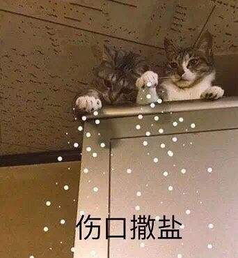 抗肿瘤药物试验中是否需要收集死亡证明？(图2)