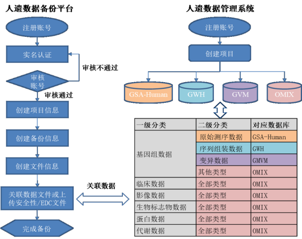 遗传办备份备案申报流程和热点问题解答(图2)